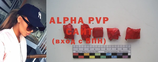 мяу мяу кристалл Богданович