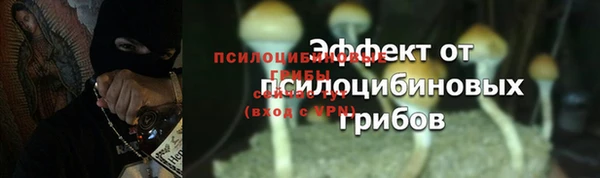 мяу мяу кристалл Богданович