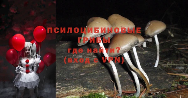 стафф Кукмор
