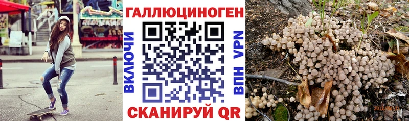 Псилоцибиновые грибы прущие грибы  Козельск 